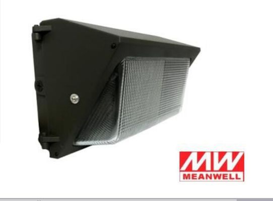 중국 12000 루멘은 100개 와트 벽 팩 빛 필립스 칩 3030 Meanwell 운전사를 지도했습니다 협력 업체